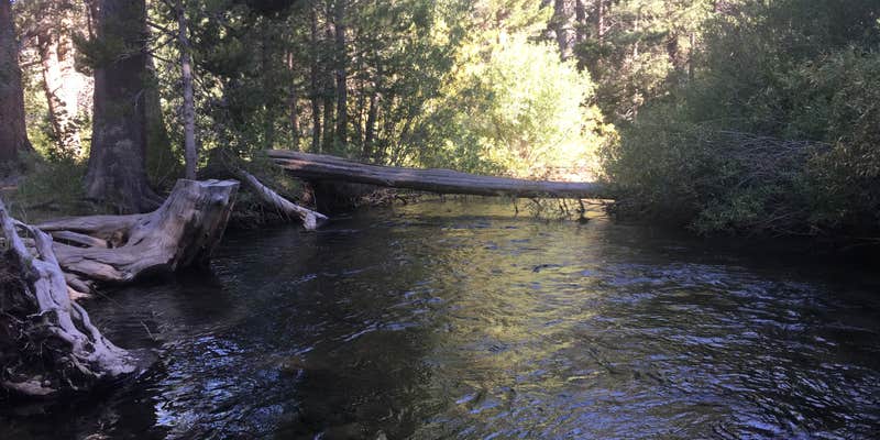 Camper submitted image from Moraine Overflow Campground