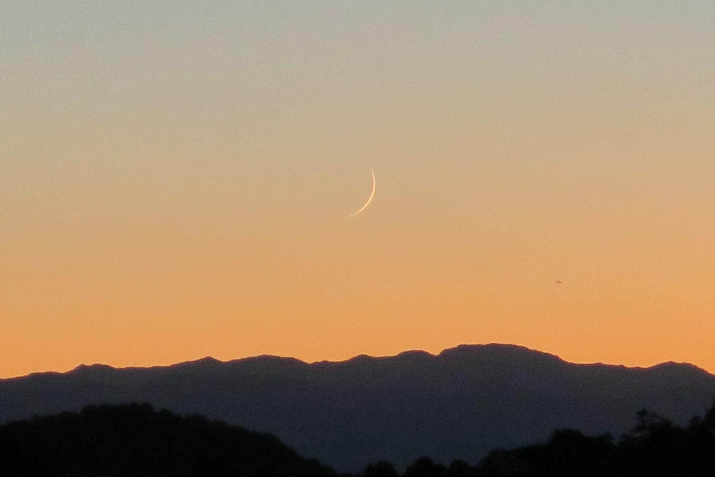 Camping near Eureka Dunes Primitive Campground — Death Valley National Park: Grandview Campground, Bishop, California