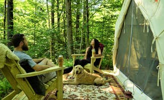 The Dyrt's photo at Hillside Camp near Vernon, VT