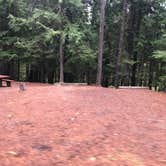 Review photo of Bad Medicine Campground by Tom K., August 27, 2019