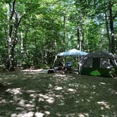 Review photo of Dry River — Crawford Notch State Park by Somer F., August 27, 2019