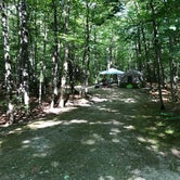 Review photo of Dry River Campground by Somer F., August 27, 2019