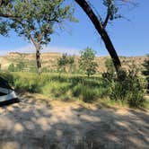 Review photo of Cottonwood Campground — Theodore Roosevelt National Park by Chris O., August 27, 2019