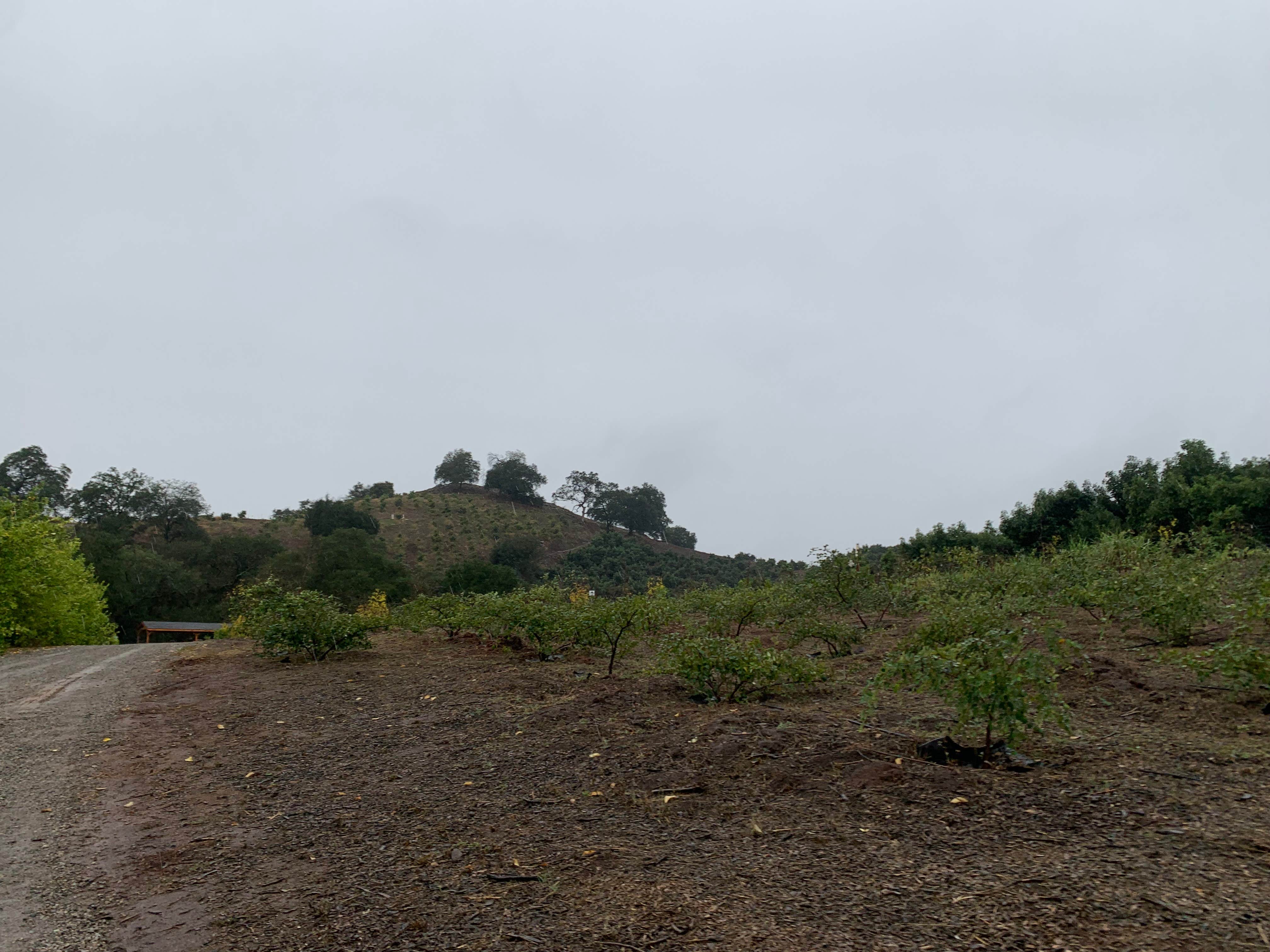 Camping near Via Del Gavilan Camp: ZNZ CAMP, Temecula, California