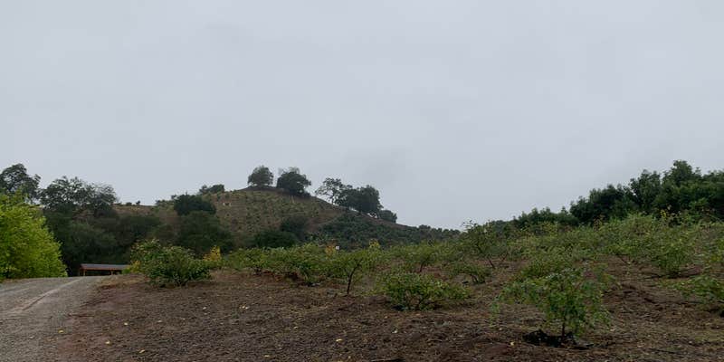 Camper submitted image from CAMP closed