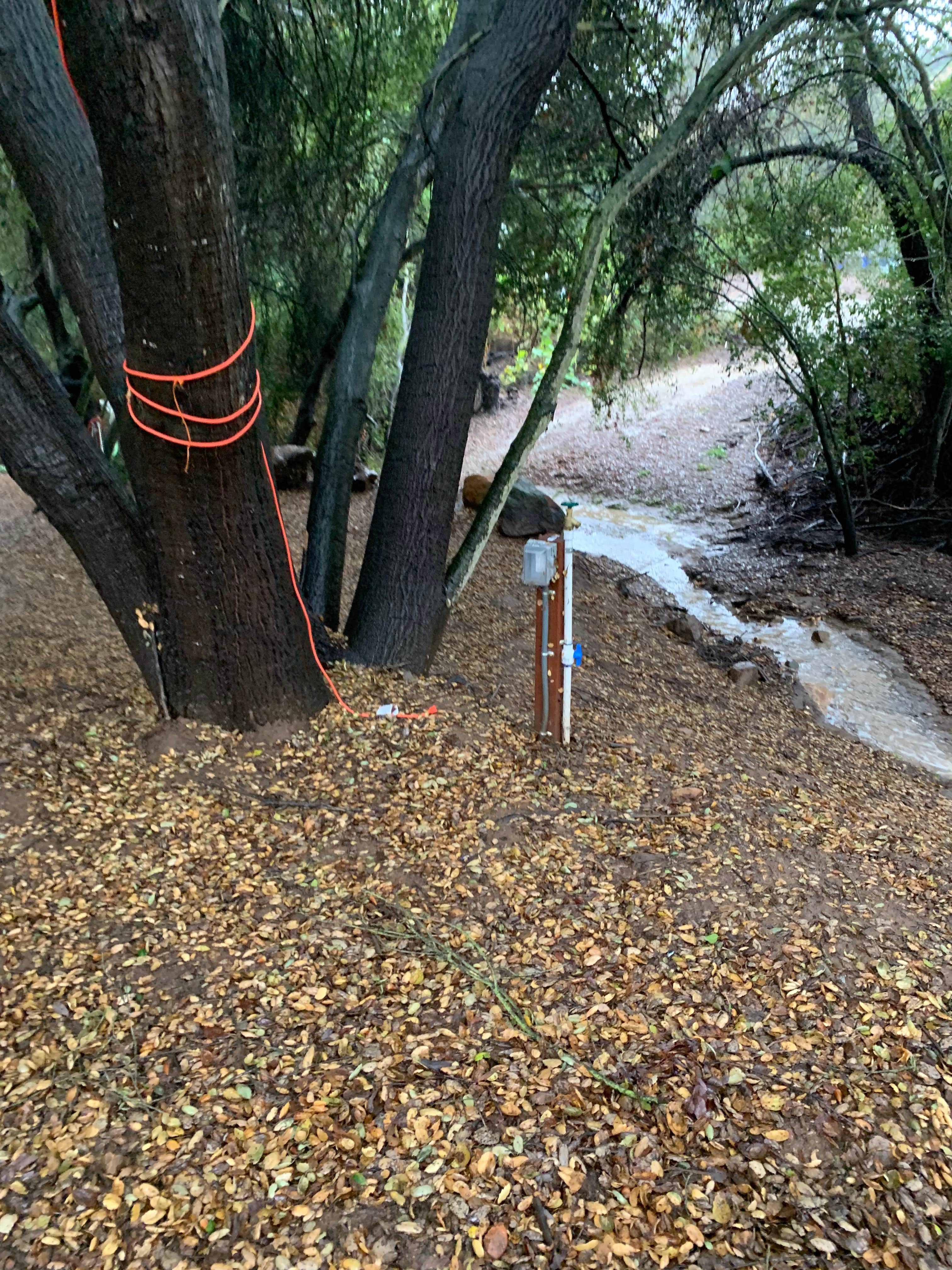 Camper submitted image from ZNZ CAMP - 3