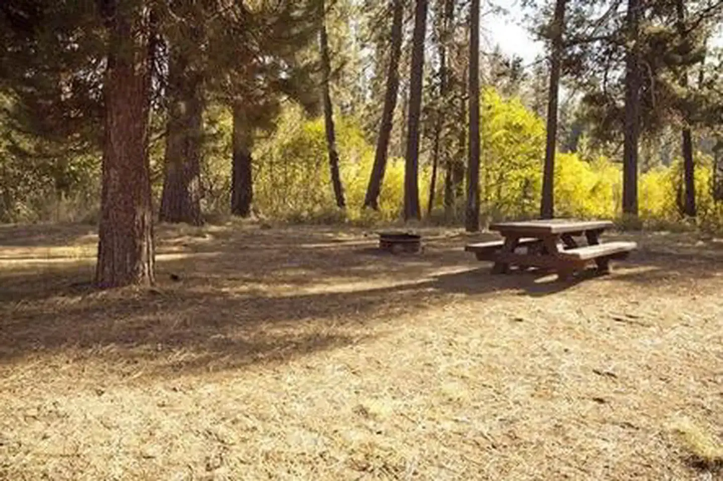 Camping near Crescent RV Park: Crescent Creek Campground, Crescent, Oregon