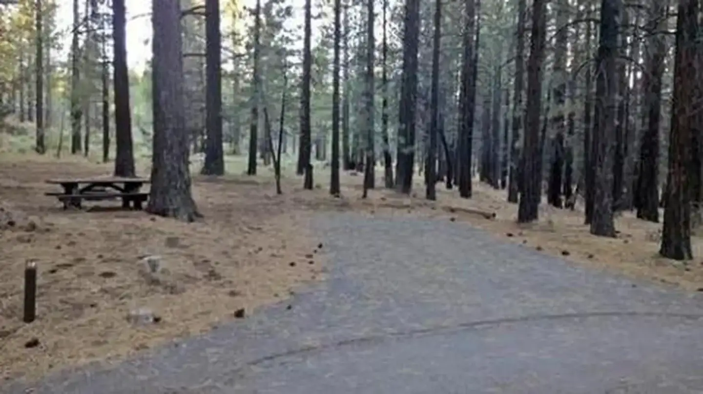 Camping near Plumas National Forest Grizzly Campground: Cottonwood Springs Campground, Chilcoot, California