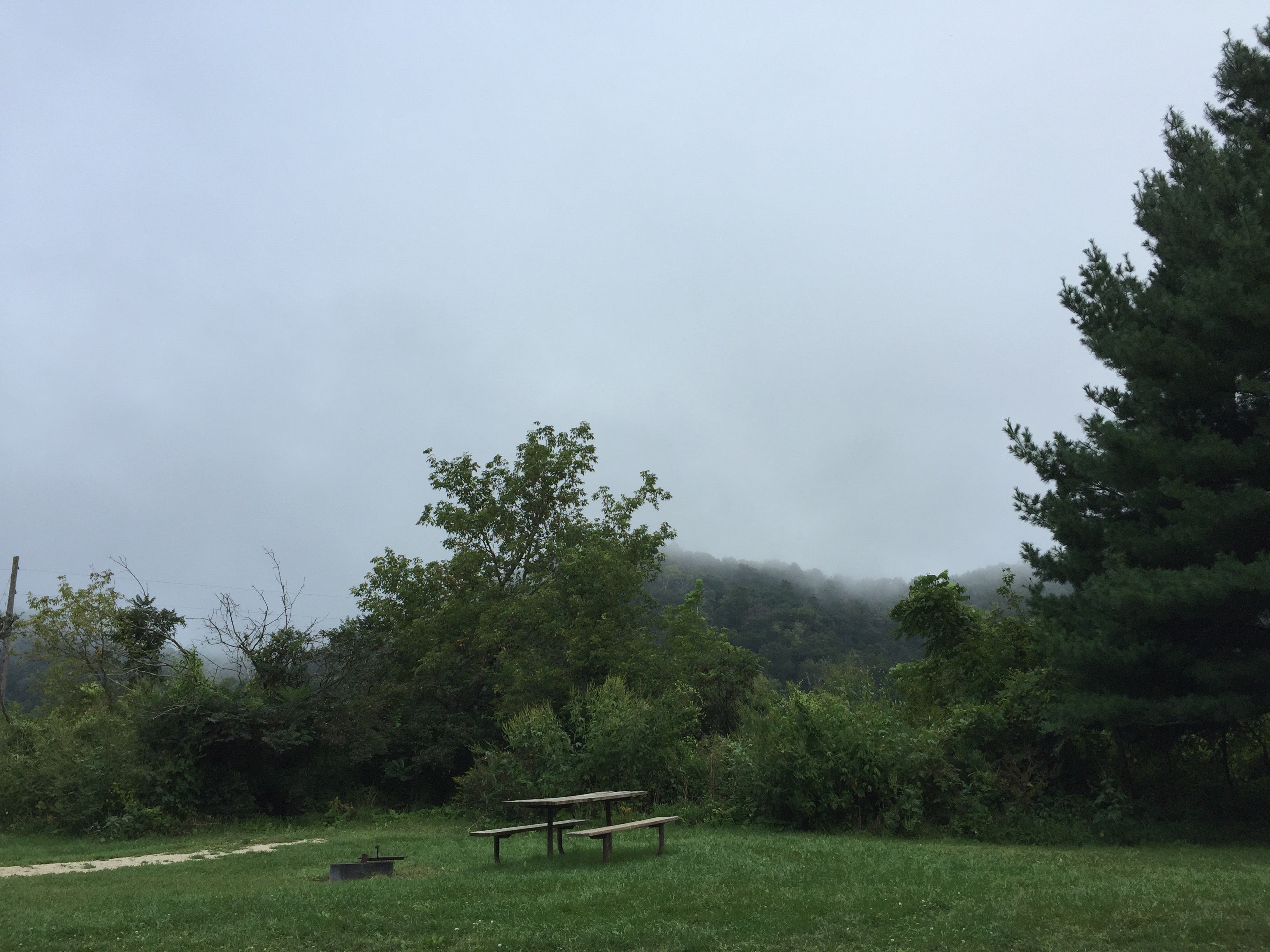 Foggy morning at the campgrounds