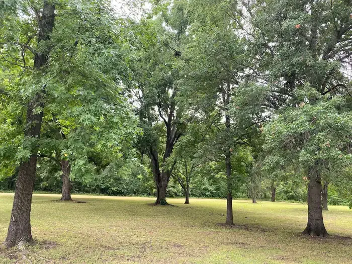 Camper-submitted photo at Tullahassee Loop Recreation Area near Leonard, OK