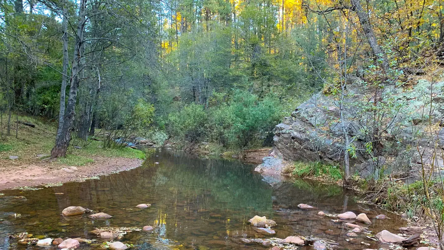 Camper-submitted photo at Upper Tonto Creek — Tonto National Forest near Sun Valley, AZ