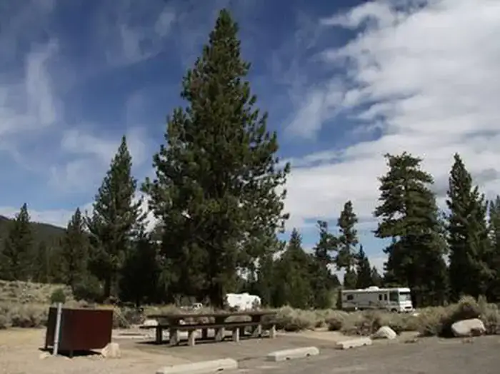 Camper-submitted photo at Robinson Creek South near Bridgeport, CA