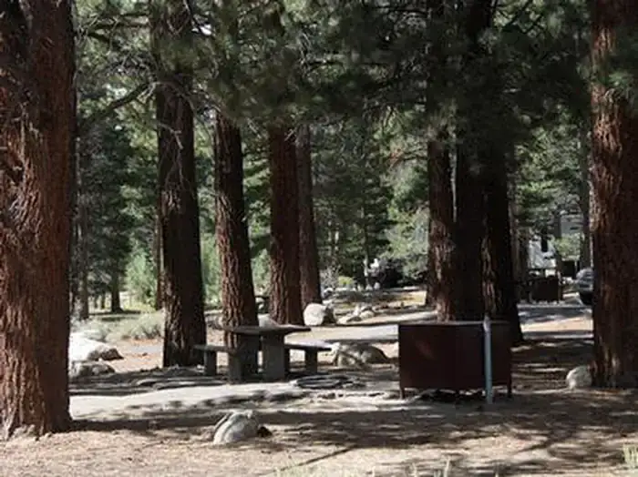 Camper-submitted photo at Robinson Creek South near Bridgeport, CA