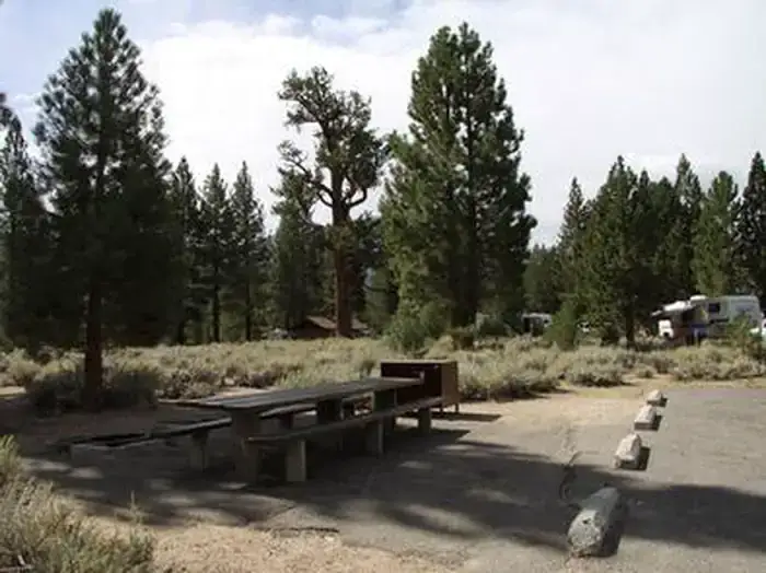 Camper-submitted photo at Robinson Creek South near Bridgeport, CA