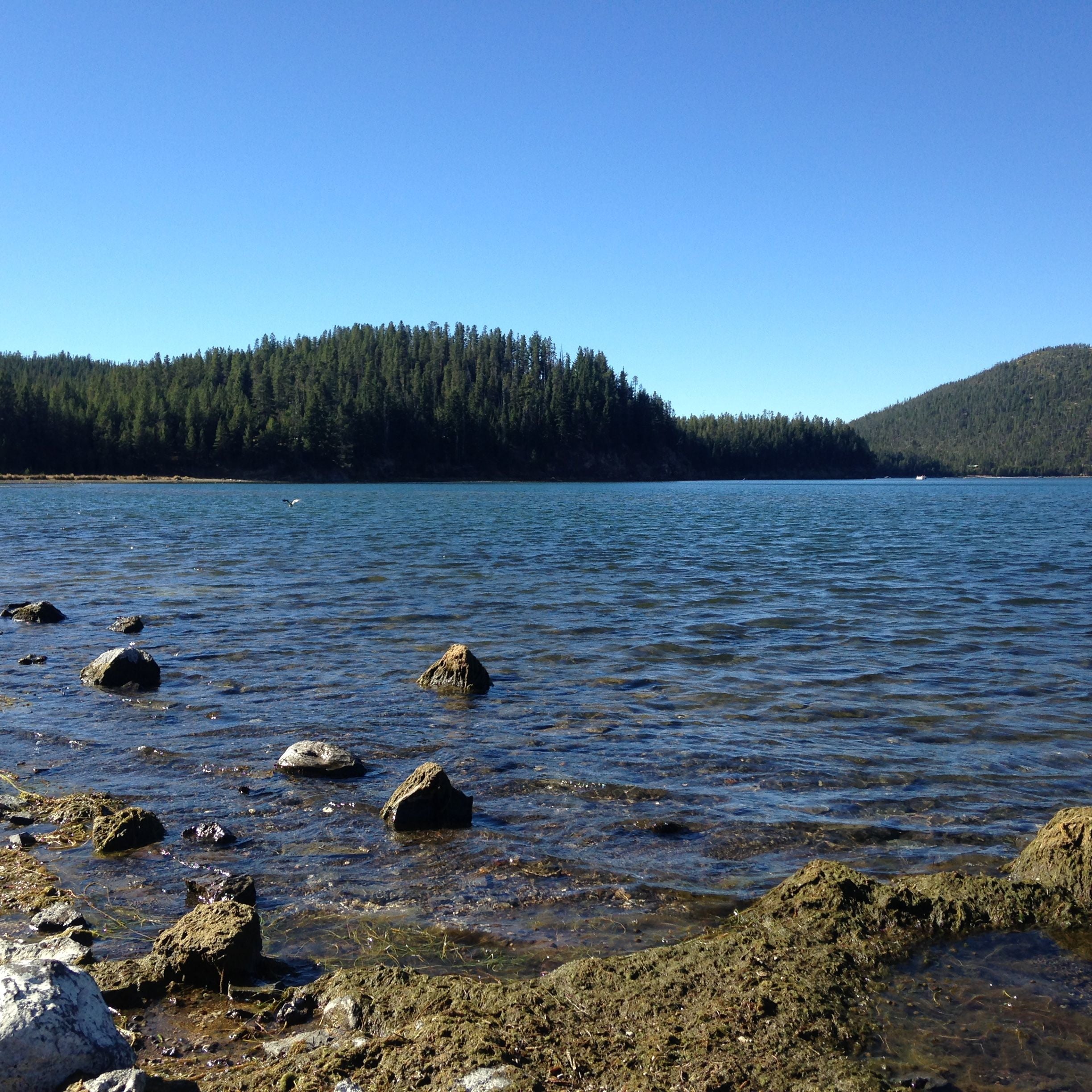 Camper submitted image from Paulina Lake Campground - 5