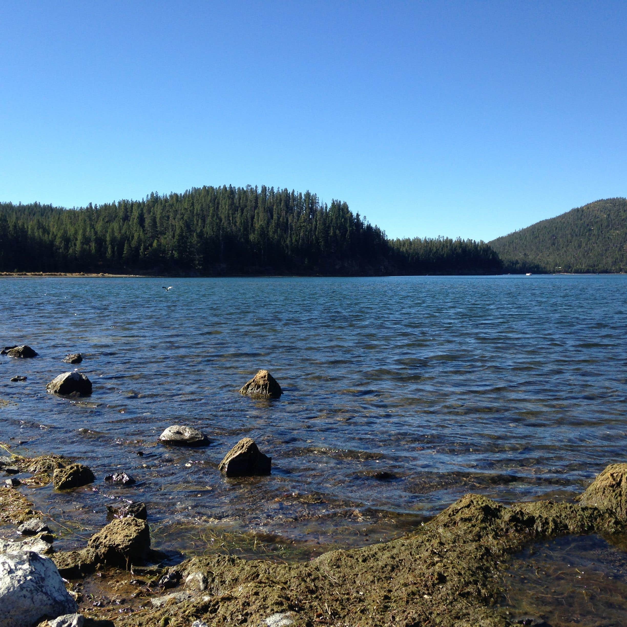 Camper submitted image from Paulina Lake Campground - 3