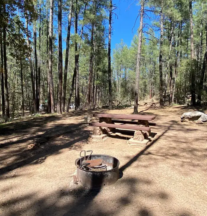 Camper-submitted photo at Upper Tonto Creek — Tonto National Forest near Sun Valley, AZ