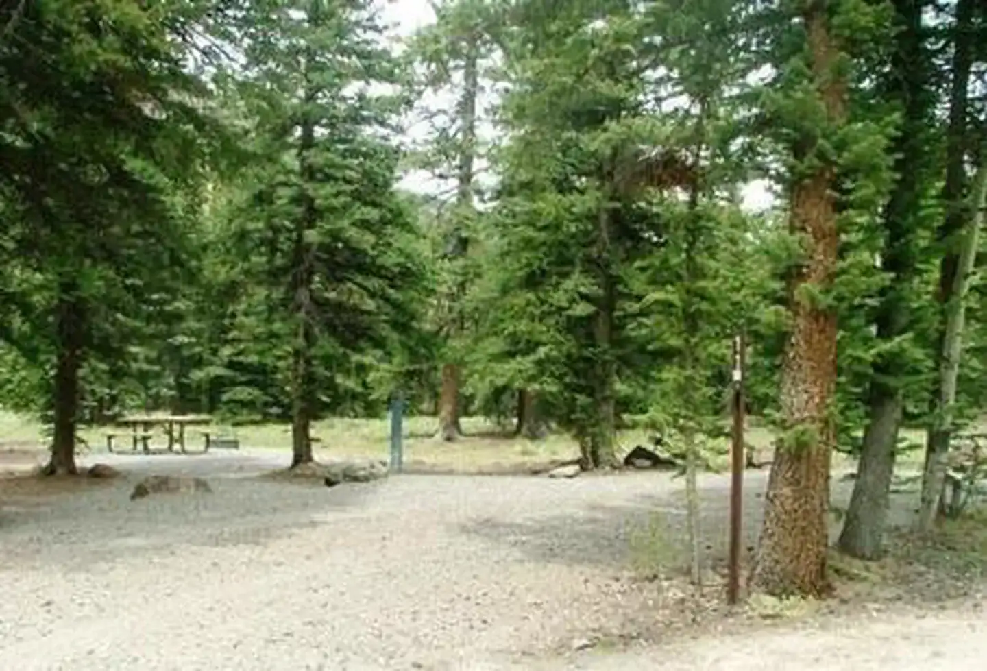 Camper-submitted photo at Thirty Mile near South Fork, CO