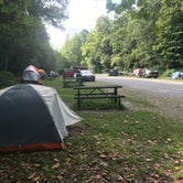Review photo of Gauley Tailwaters Campground — Gauley River National Recreation Area by Ruby W., August 27, 2019