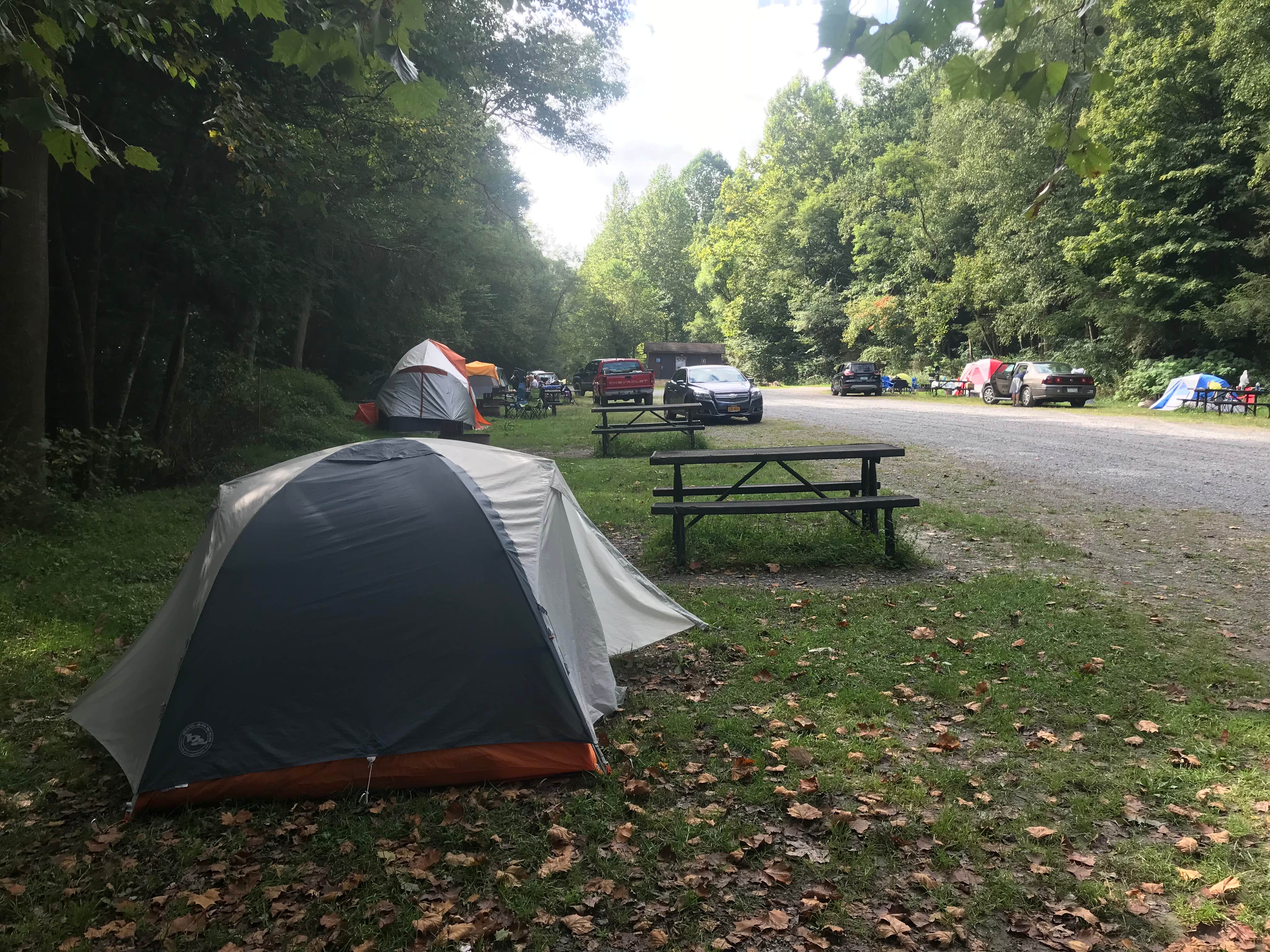 Camper submitted image from Gauley Tailwaters Campground — Gauley River National Recreation Area - 2