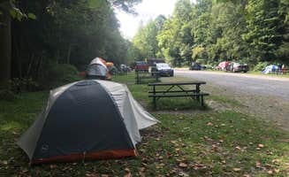 Ruby W.'s photo at Gauley Tailwaters Campground — Gauley River National Recreation Area near Camden-on-Gauley, WV