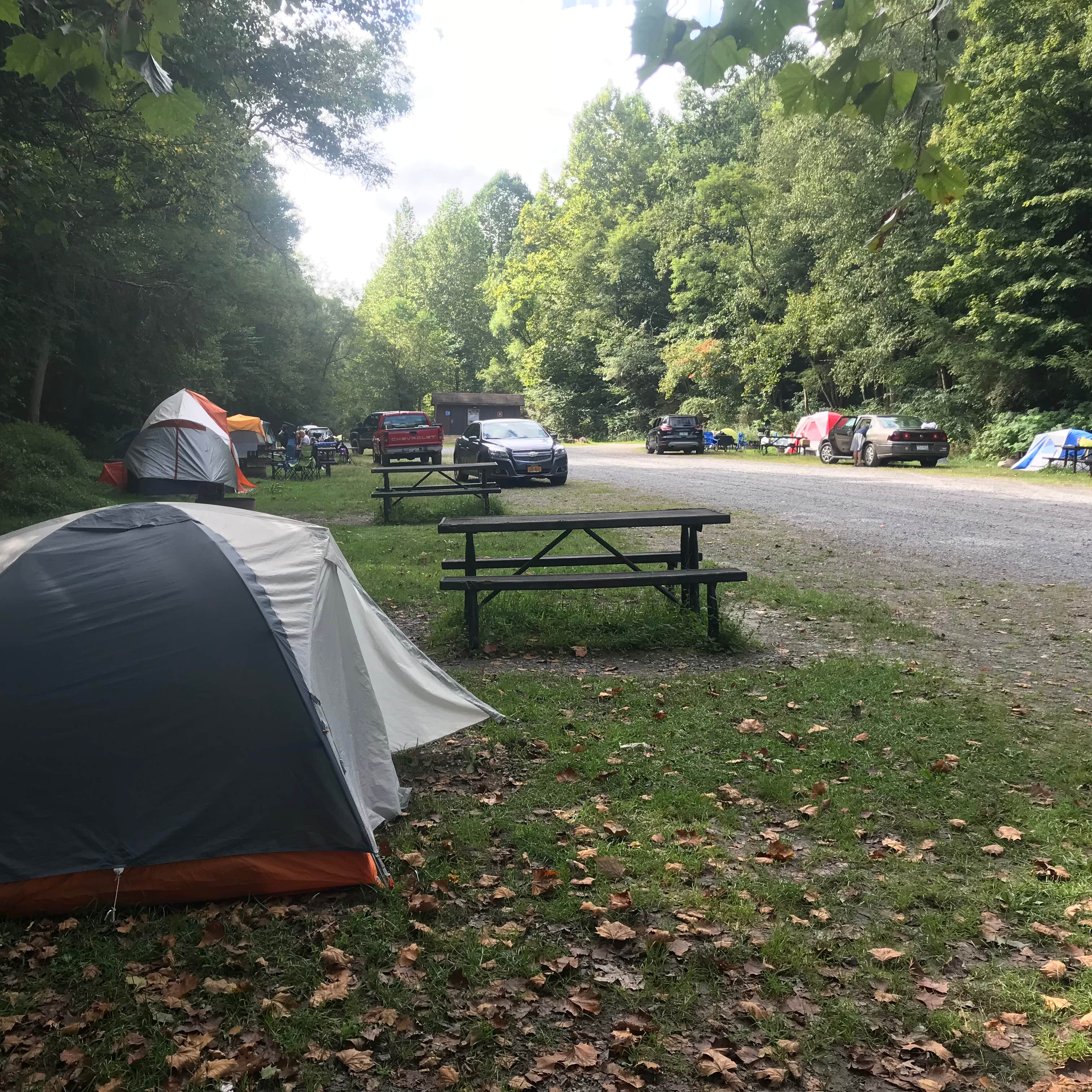 Gauley Tailwaters Campground Camping The Dyrt