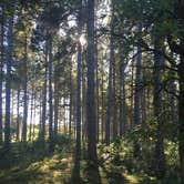 Review photo of Huntersville Forest Landing by Casie S., September 27, 2016