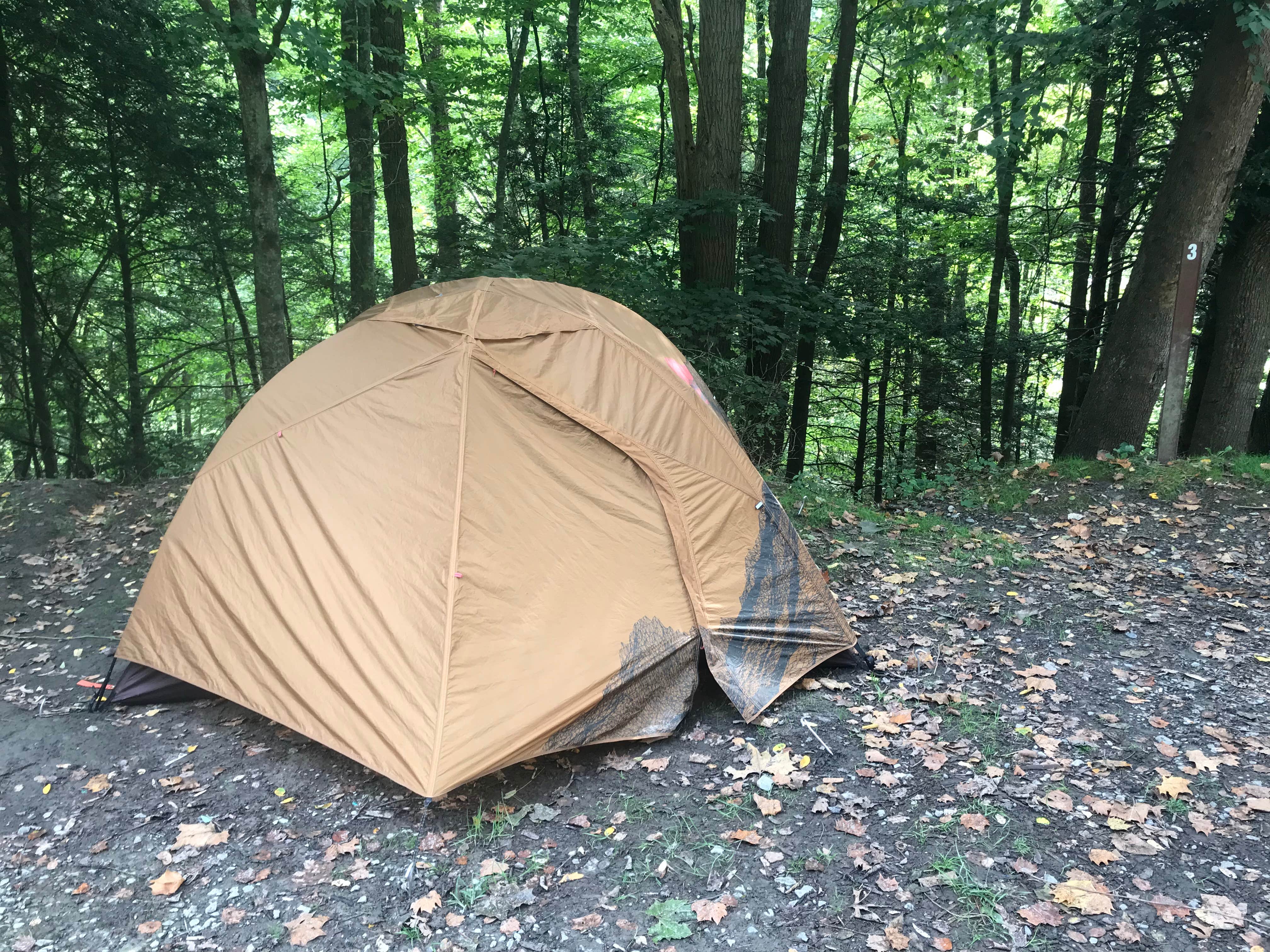 Ruby W.'s photo at Battle Run near Gauley Bridge, WV