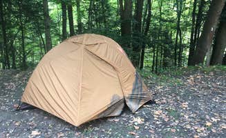 Ruby W.'s photo at Battle Run near Ansted, WV