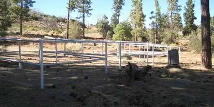 Camper submitted image from Big Pine Equestrian Group Campground