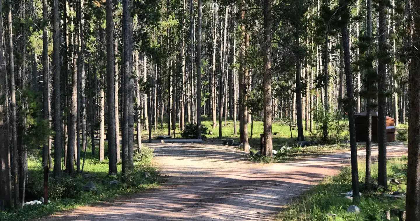 Camping near Big Sky RV Park: Spring Hill Campground, Anaconda-Deer Lodge County, Montana