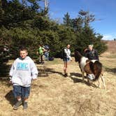 Review photo of Hickory Ridge Campground — Grayson Highlands State Park by Elizabeth V., August 27, 2019