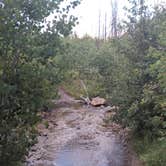 Review photo of Medano Pass Primitive Road by Jason L., August 27, 2019