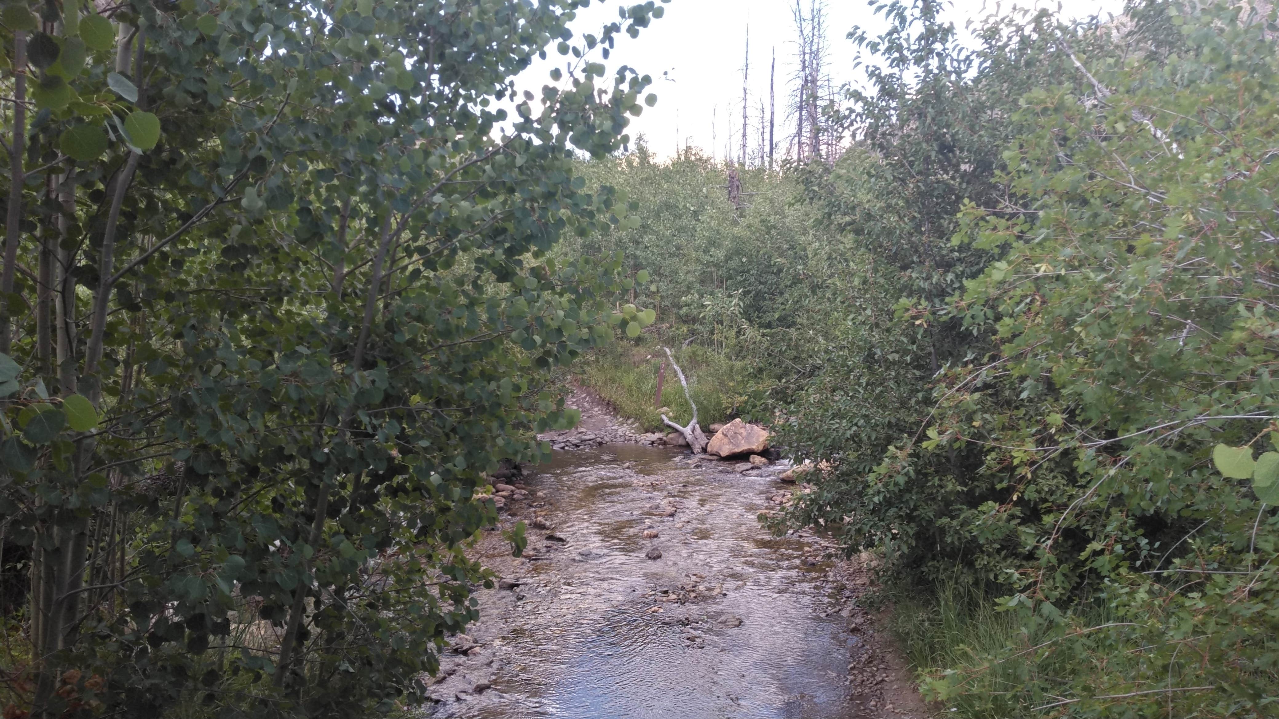 Camper submitted image from Medano Pass Primitive Road — Great Sand Dunes National Preserve - 2