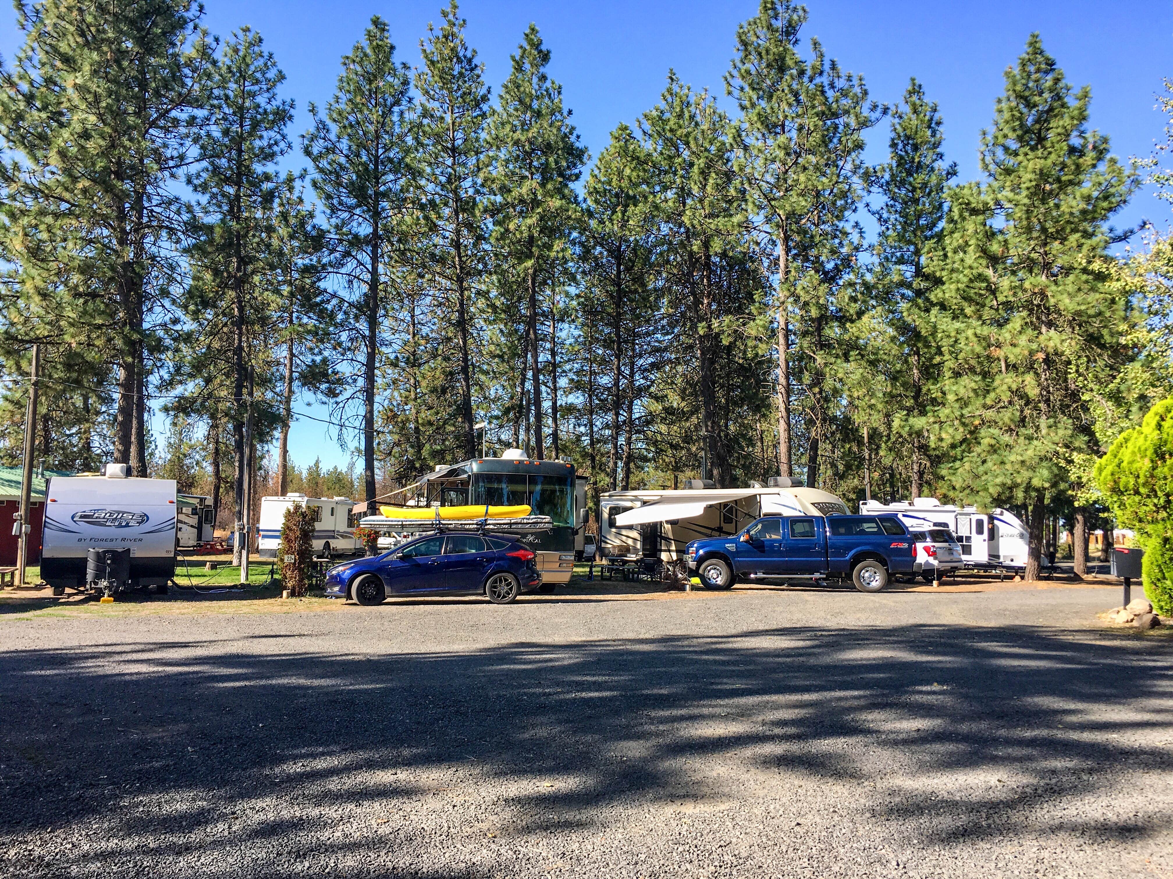 Mark C.'s photo of rv camping at Peaceful Pines  RV Park & Campground near Davenport, WA