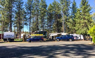 Mark C.'s photo of rv camping at Peaceful Pines  RV Park & Campground near Davenport, WA