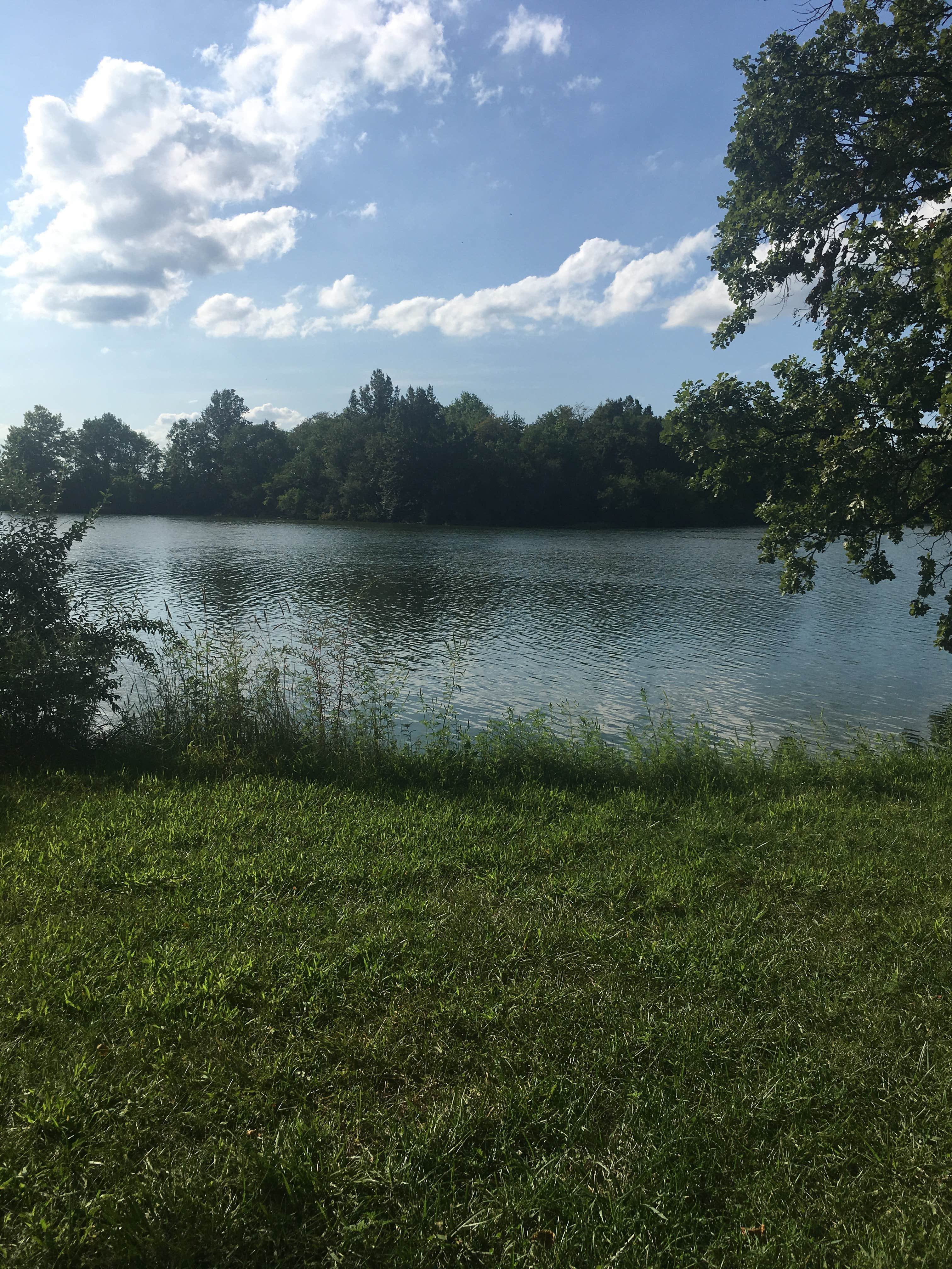 Sangchris Lake The Dyrt