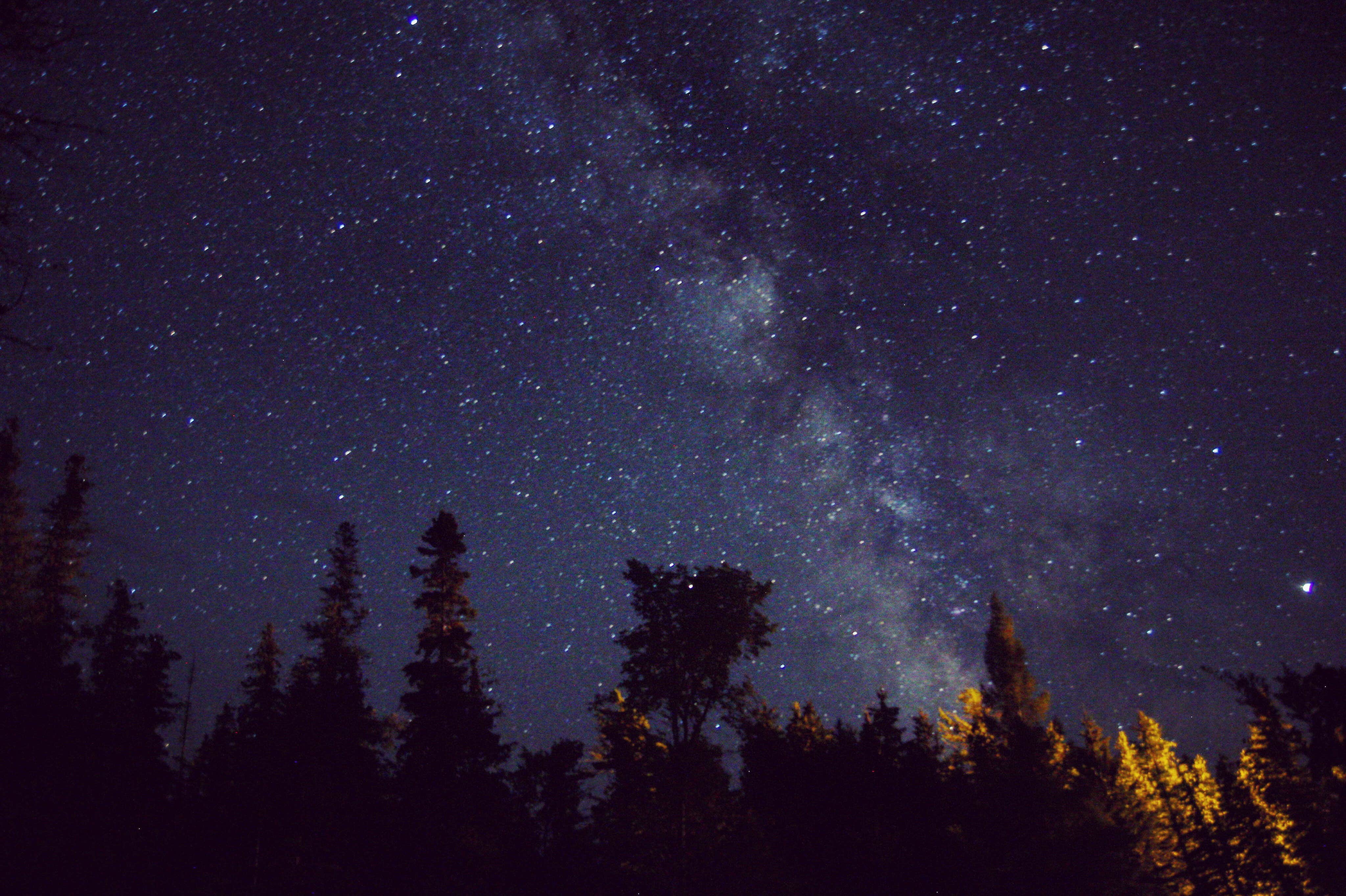 Camper-submitted photo at Black Lake State Forest Upper ORV Campground near Afton, MI
