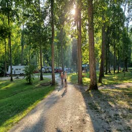 Sycamore Springs Park