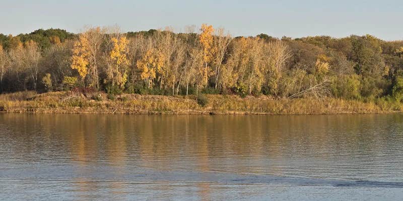 Camper submitted image from Cottonwood Campground/Coralville Lake (COE)