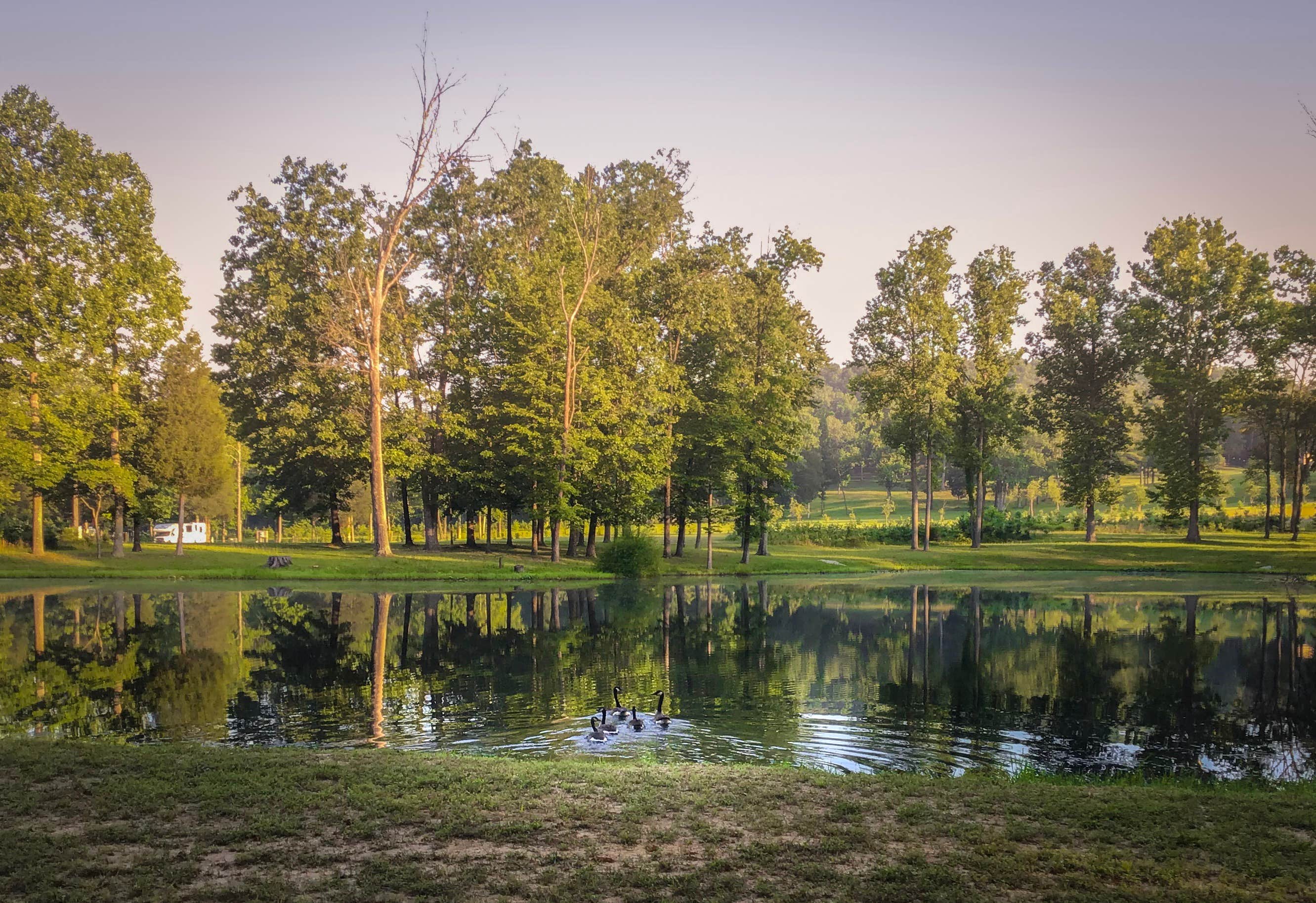 Camper-submitted photo at Sycamore Springs Park near Hoosier National Forest