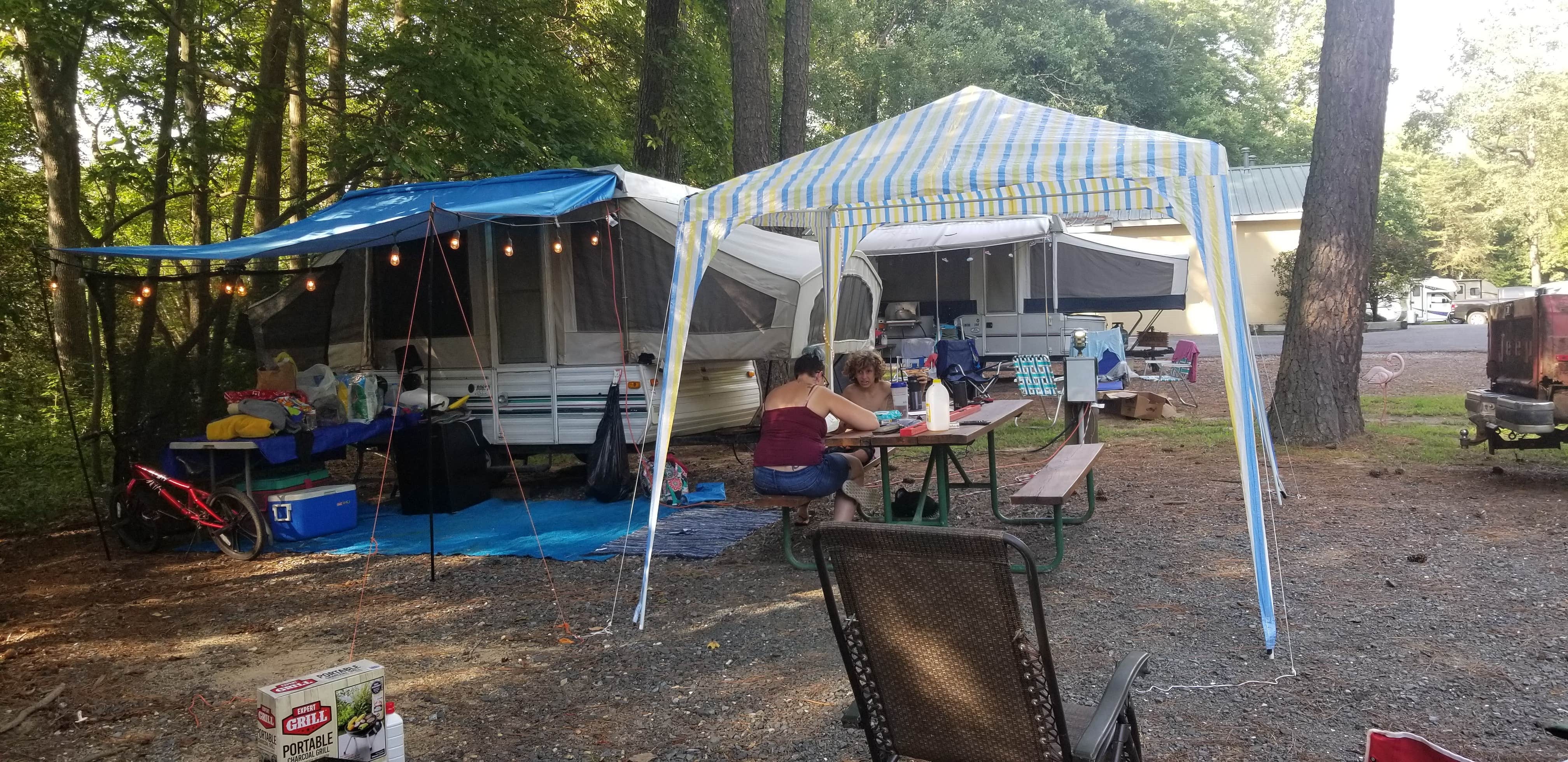 Tall Pines Campground The Dyrt