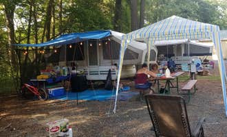 Camping near Yogi Bear's Jellystone Park At Delaware Beaches: Tall Pine Campground, Houston, Delaware