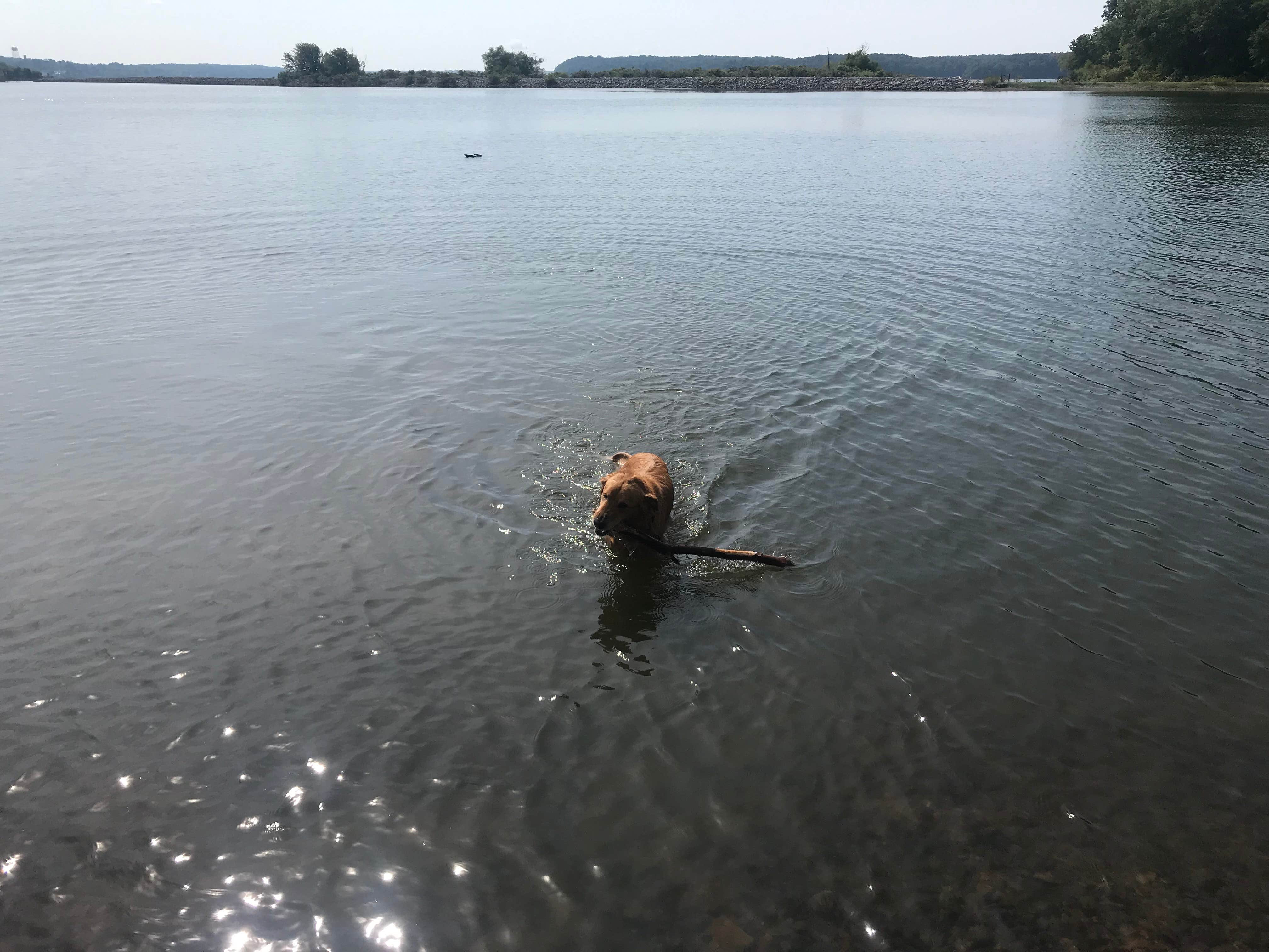 Camper-submitted photo at Eureka near Grand Rivers, KY