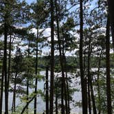 Review photo of Pine Ridge Campground — Itasca State Park by Nicole E., August 27, 2019
