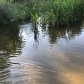 Review photo of Pine Ridge Campground — Itasca State Park by Nicole E., August 27, 2019