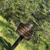 Review photo of Pine Ridge Campground — Itasca State Park by Nicole E., August 27, 2019