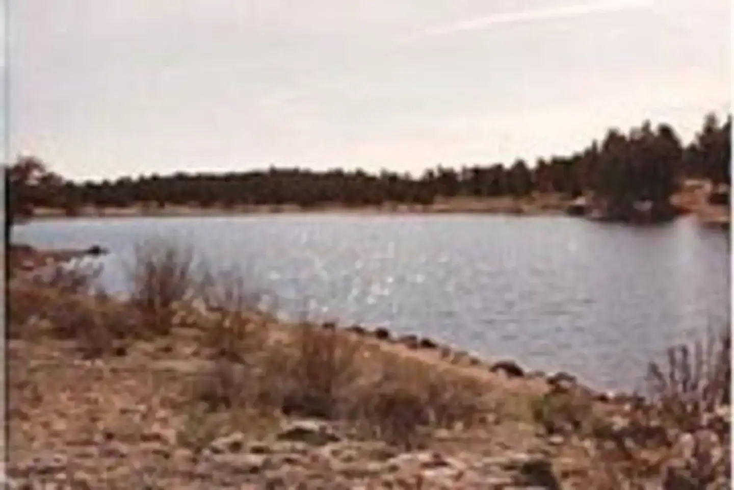 Camper-submitted photo at West Lake near Red Feather Lakes, CO