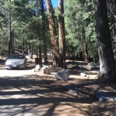 Review photo of Buckhorn Campground - Temporarily Closed by C N., August 28, 2019
