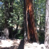 Review photo of Buckhorn Campground by C N., August 28, 2019